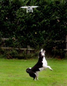 Newspaper: Wakefield Express // Morley Observer. Story: Brian Wheelhouse, who runs the Whitehall Dog Rescue centre, East Ardsley, uses a drone to help exercise some of the dogs at the centre. Photo date: 07/09/15 Picture Ref: AB201d0915