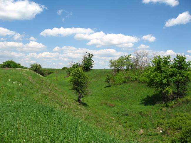 5-ravine
