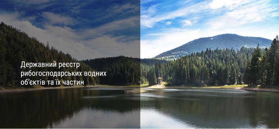 fish-hd-kiev
