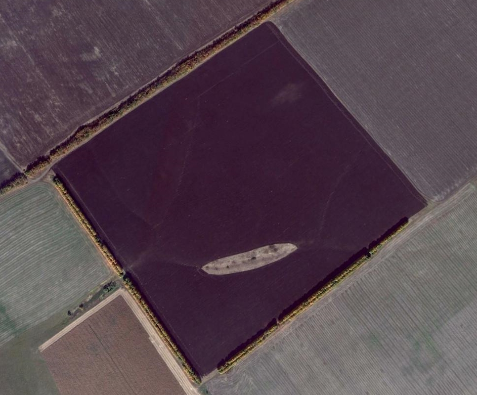 fig-1-bare-field