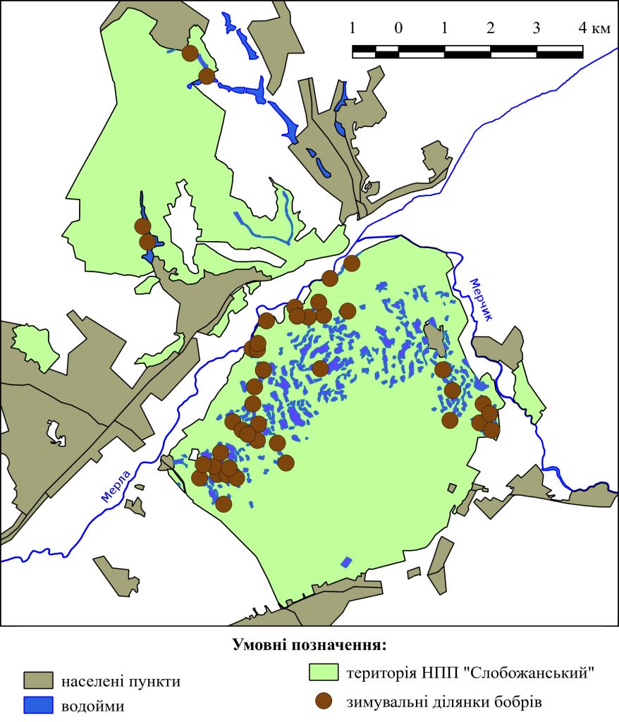 4_Зимувальні ділянки бобрів