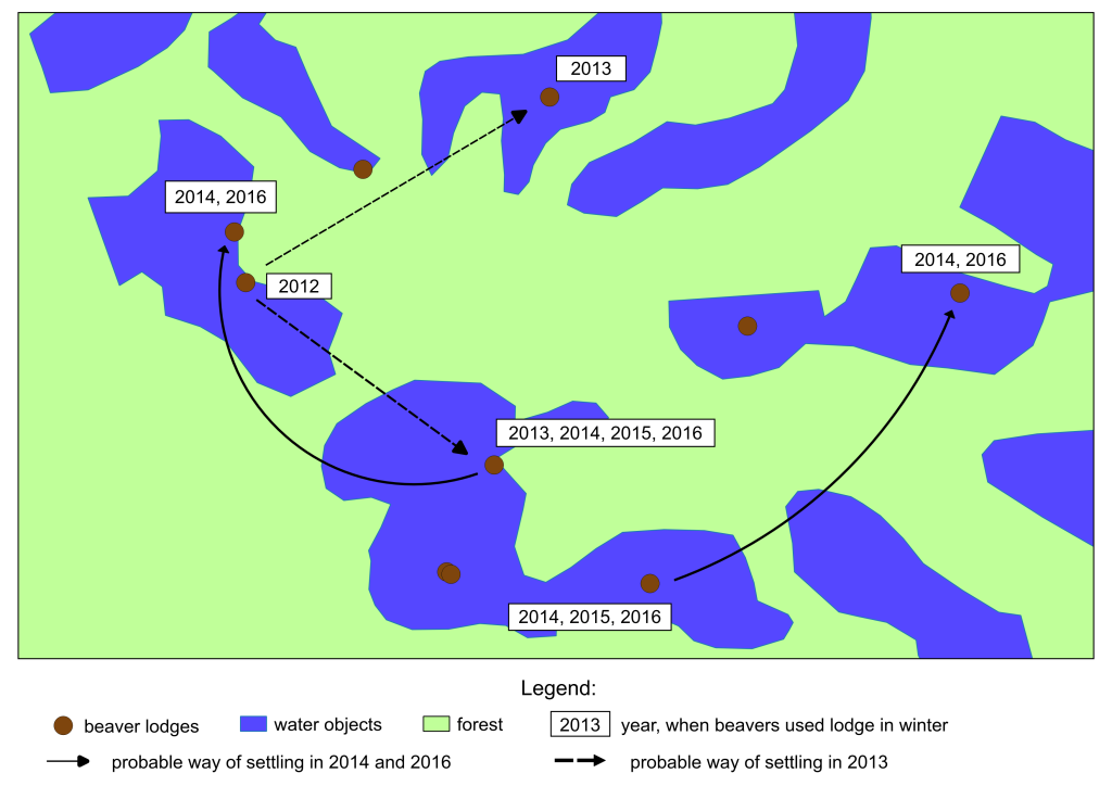 6_динаміка бобрових ділянок_eng