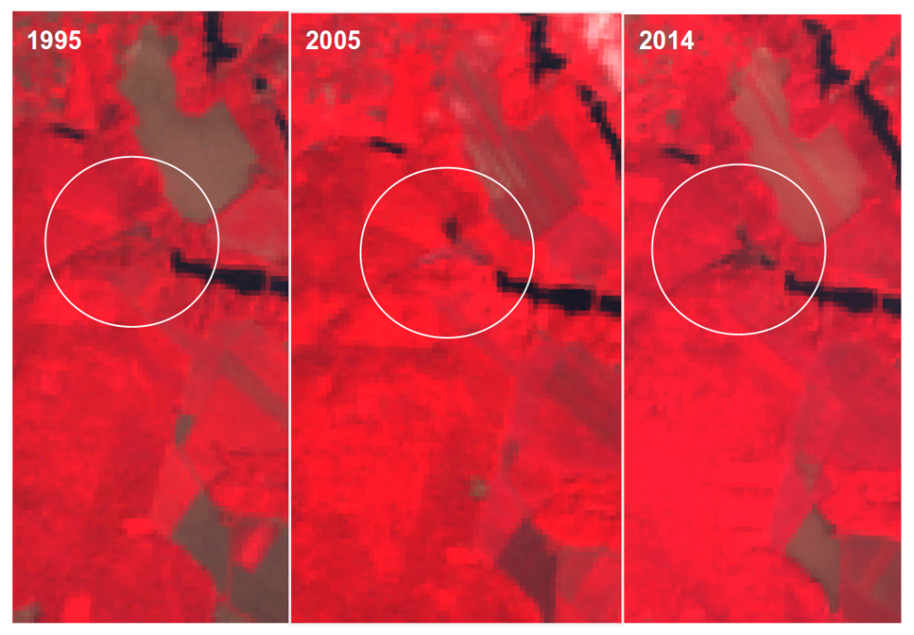 7_динаміка розвитку ставка
