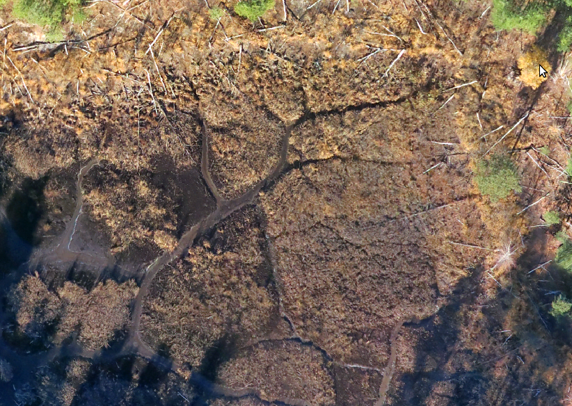 9_боброві канали